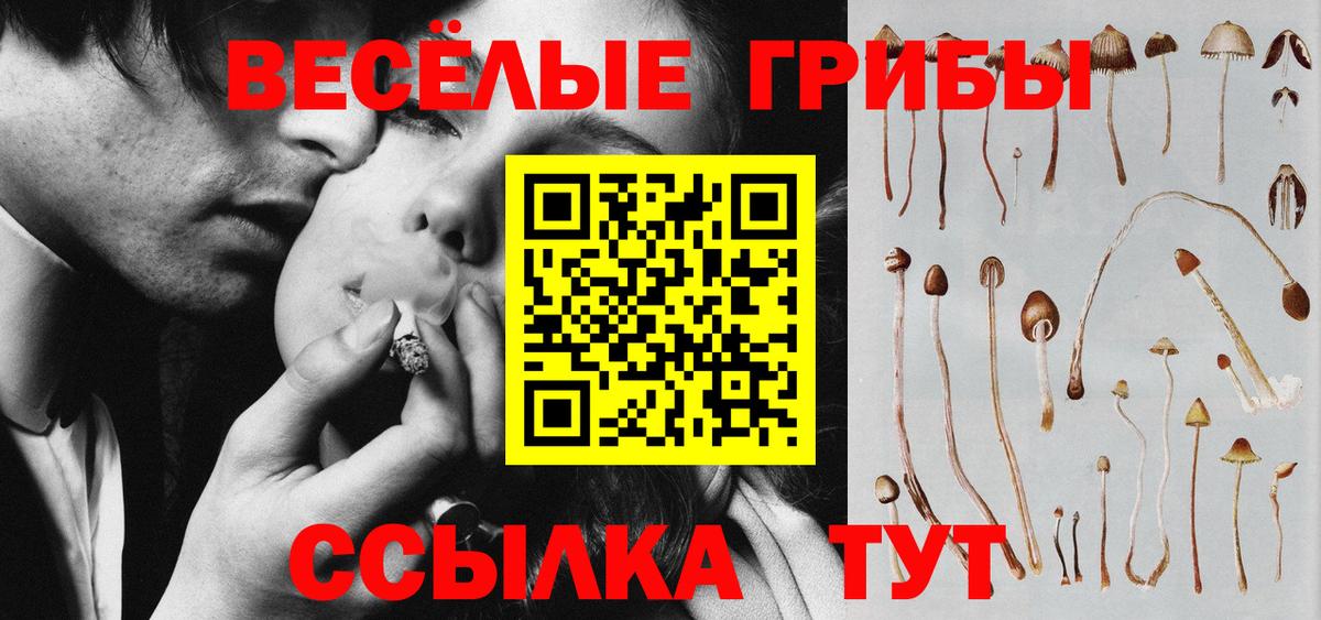 Псилоцибиновые грибы Cubensis Новый Уренгой