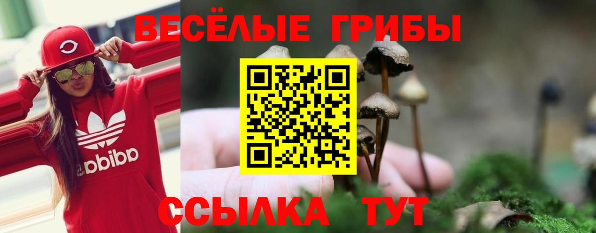 Галлюциногенные грибы мухоморы  Вход с VPN  Новый Уренгой 